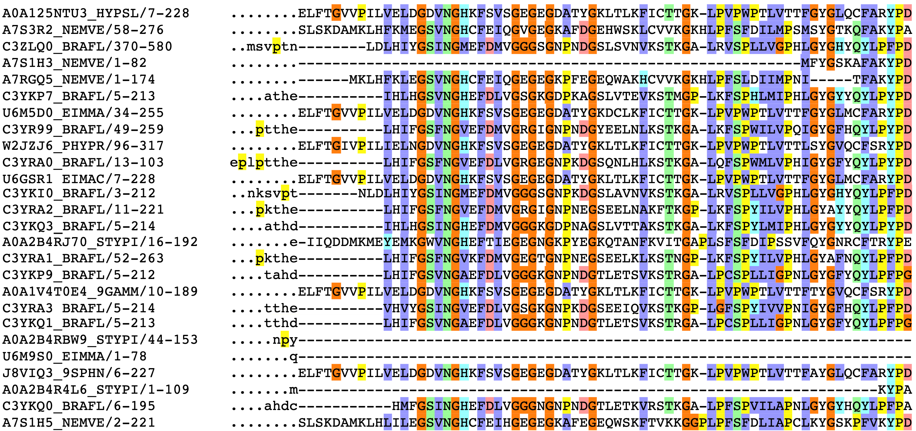 two protein sequence alignment