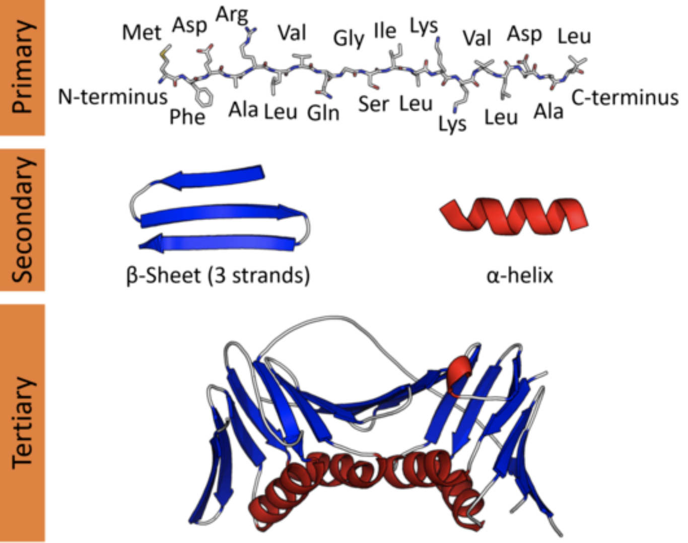 Can We Learn The Language Of Proteins The Berkeley Artificial